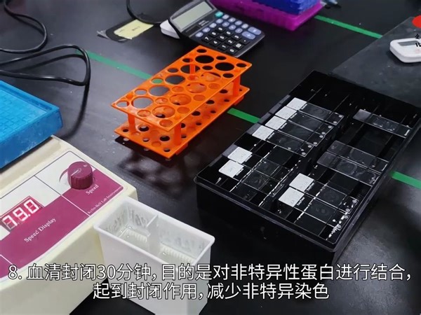 免疫组化操作演示——封闭