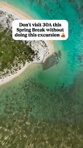 📲 Save this Spring Break idea for your trip on 30A! ⛵️Island Time sailing 🌐 Booking site islandtimesailing.com 🏝️ They offer group and private charters Ready for a snorkel adventure to island paradise, embark on an enchanting dolphin cruise in the idyllic paradise of Panama City Beach, or enjoy a relaxing sunset cruise? TripAdvisor ranks Island Time as the #1 Catamaran cruise tour on Panama City Beach. We offer a variety of cruises to Shell Island Florida and into the Gulf of Mexico and we’re