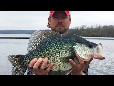 GIANT 4.8lb CRAPPIE CAUGHT!!!
