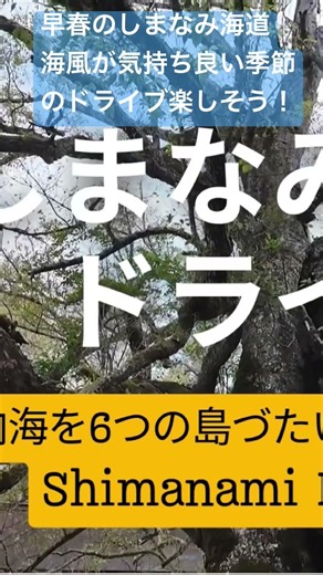 しまなみ海道、大人旅のドライブ最高！