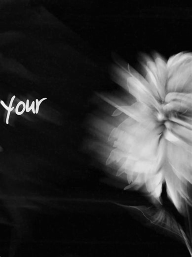 Private>>> #lyrics #fyp #foryoupage