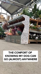 80K views · 551 reactions | Get qualified to live and travel almost anywhere with your pet in 3 easy steps (even if they have a “no pets” policy). Qualify online and instantly! Get doctor approval in 48 hours (or less) | Support Pets | Facebook