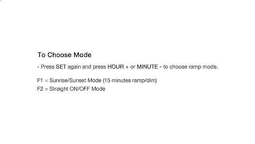 NICREW Dual Channel Timer