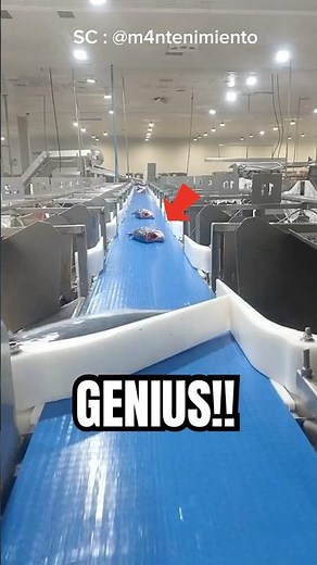 Revolutionizing Salmon Processing with Smart Automation 🐟⚙️