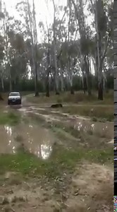 147K views · 646 shares | Lol hit it hard | 4x4ing Australia | Facebook