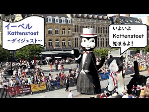 勝手にベルギー観光局 すぺしゃる：イーペル（IEPER,YPRES）「Kattenstoet(カッテンストゥッツ) （日:猫祭り）」 その④ ～Kattenstoetパレードダイジェスト～