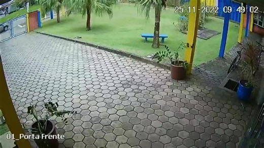 Stupid Nazi #tcc #Brazil #fake #fakeguns⚠️ #airsoft #ai