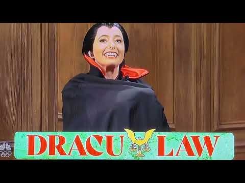 EXPERIENCED LAWYERS - SNL - AMY POEHLER - ROLE MODEL - SNL 51