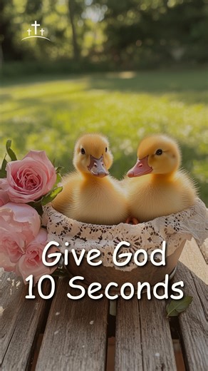 55K views · 1.7K reactions | #Hurricanes #StormUpdate #EmergencyAlertMelissa | God is my life | Facebook