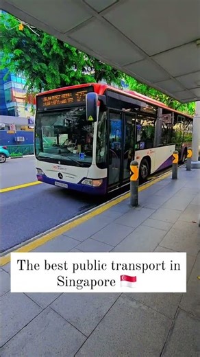 The Best Public Bus Transport in Singapore 🇸🇬🚌 | Clean • Smart • On Time