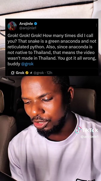 Understanding Character AI and Python Snakes