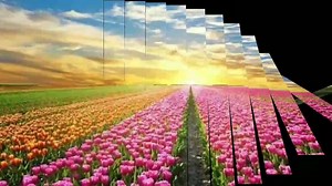 25K views · 1.4K reactions | EL CONDOR PASA  by: Paul Mauriat (Instrumental) Subscribe :https://youtu.be/NxkIBQn2ry8 | Music & Memories by: Nedz | Facebook