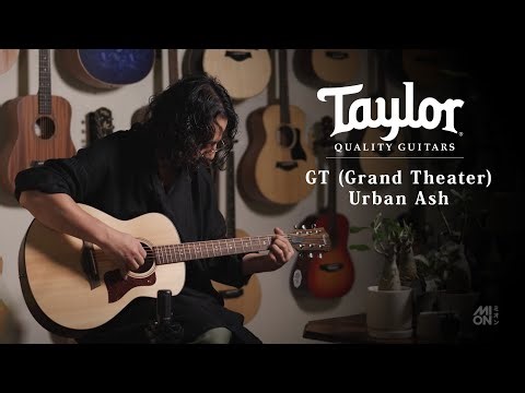 Taylor GT Urban Ash / MION introduction