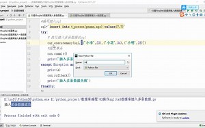 Python 数据库编程 03操作SQLite3数据库查询数据