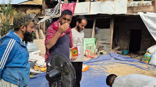 19K views · 225 reactions | Seed basic input in Agriculture | Agriculture Activities | Facebook