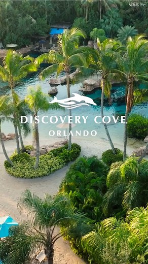 Experience an unforgettable escape to paradise at Discovery Cove - pure relaxation with exciting activities & memories that last a lifetime! | Discovery Cove | Facebook
