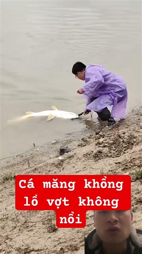 Big fish, but I can't pull them out with the net #fishing #thuongreaction #relaxingfishing