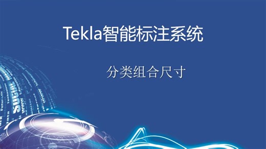 Tekla智能标注插件视频教程-分类组合尺寸线