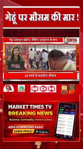 गेहूं पर मौसम की मार !