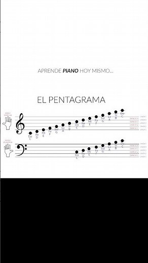 Las Notas Musicales y el Pentagrama PIANO Nivel Principiante