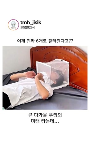 모기 침 안에 숨어있는 6개 바늘의 정체