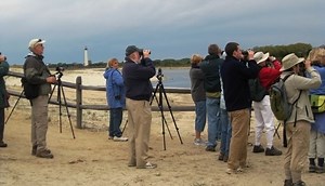 Cape May Bird Observatory - Alchetron, the free social encyclopedia