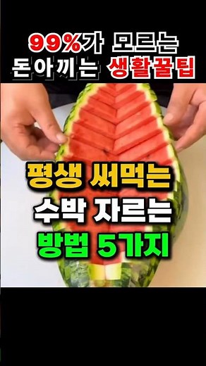 수박 예쁘게 자르기 6가지 방법 🍉 플레이팅부터 보관까지 한방에 끝!
