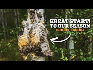 First RUFFED GROUSE HUNT of 2024! Rainy Day Tactics!