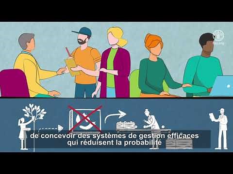Comprendre l'approche systémique