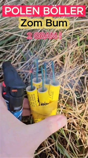 Polen Boller 2