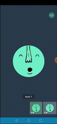 Use own Jitsi Meet Server on Android