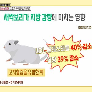 30kg 감량 성공! 그 노하우를 알아 본다.