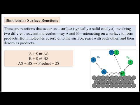 Catalysis-Heterogeneous catalysis-Surface Reactions Bimolecular Surface Reactions with mechanisms