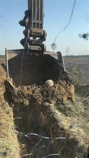 Treasure Hunting for Ancient Relics: Unearthing History