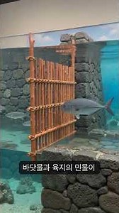 하와이 로코 이아는 왜 바다로 열어 뒀을까?