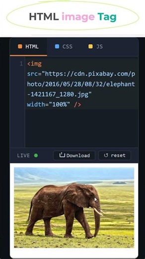 HTML Image Tag #coding #htmltutorial #csstutorial