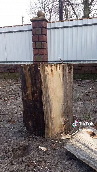 How to Chop a Large Tree Stump Effectively