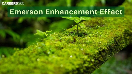 Emerson Enhancement Effect: Definition, Effect