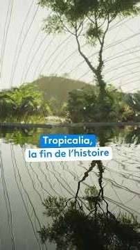 TROPICALIA : la fin de l'histoire sur la Côte d'Opale