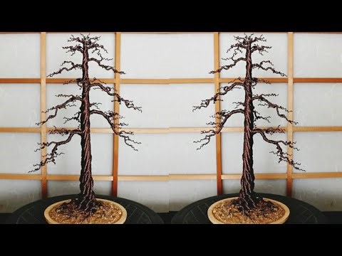 Learn to Make a Pine Tree Bonsai (without leaves)