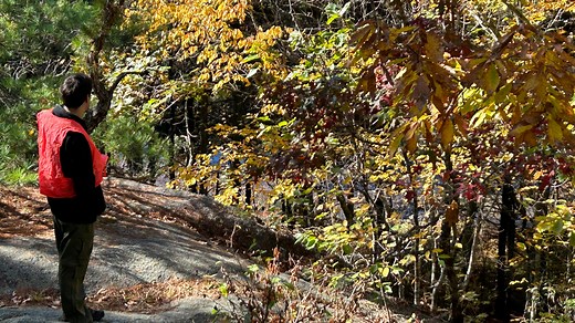 Explore Hopkinton's Ell Pond, a National Natural Landmark. Here's what makes it so unique.