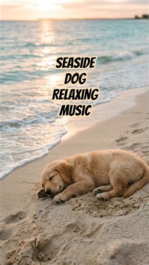 Seaside Dog Relaxing Music 🐶 | 1-Minute Calm Ocean Sleep Music for Puppies & Dogs