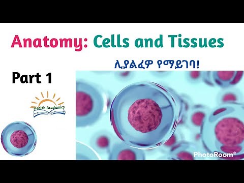 Anatomy: Cells and tissues, Interesting Video Lecture with Amharic Speech, Part 1