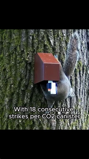 Rain, shine, or snow — the #A18 Squirrel Trap keeps working. One CO₂ canister = up to 18 instant, humane kills. Auto-resets. Digital strike counter. Ready when you are. #AutomaticTrap #SquirrelTrap #Squirrel | Automatic Trap