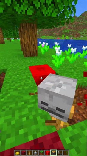 Camp Fire Tutorial (World's Smallest Violin) #shorts #minecraft #viral #gaming