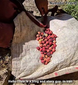 incredible story- from baking bread to rescuing a goat in the mountains 🌄💪 | Nomadic Travel