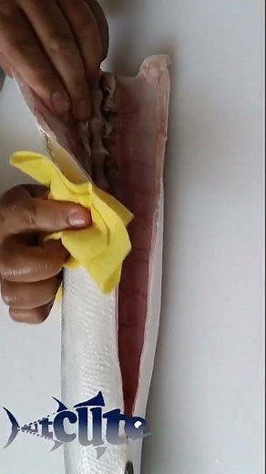 (S7E3)Swordfish Filleting Tutorial | Perfect Fish Cutting Skills