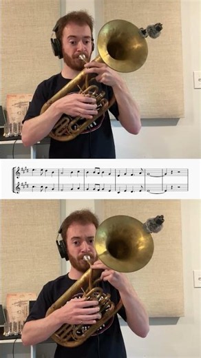 A soothing Celtic melody on alto horn x2!