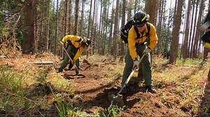 Firefighters from dozens of agencies take part in wildfire training in Molalla