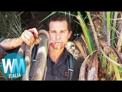 Top 10 Momenti più FOLLI di BEAR GRYLLS!